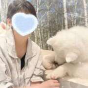 ヒメ日記 2025/08/02 19:35 投稿 リオ バニーコレクション新潟店