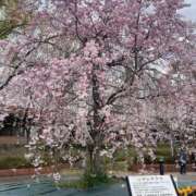 ヒメ日記 2025/04/03 23:41 投稿 ななせ 人妻熟女奉仕倶楽部