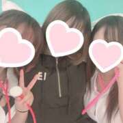 ヒメ日記 2025/12/11 14:24 投稿 ましろ 五反田アンジェリーク