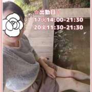 ヒメ日記 2024/12/15 17:17 投稿 かやの 京都人妻デリヘル倶楽部