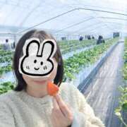 かやの 🍓出勤中です～ 京都人妻デリヘル倶楽部