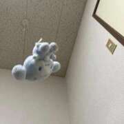 ヒメ日記 2026/04/16 23:25 投稿 もも すぐ舐めたくて学園立川校〜舐めたくてグループ〜