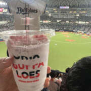 ヒメ日記 2026/03/30 22:27 投稿 かすみ 月兎（GET）