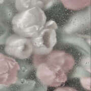 ヒメ日記 2026/04/04 00:28 投稿 かすみ 月兎（GET）