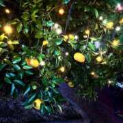 ヒメ日記 2025/12/03 17:03 投稿 まゆ 多恋人倶楽部（山口）