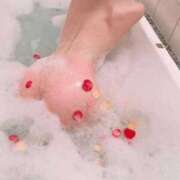 ヒメ日記 2026/04/05 22:02 投稿 矢野志津香(やのしずか) 姫路マダム大奥