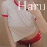 はる 🤍一緒に…？🤍 プロフィール 大阪店