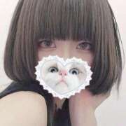 はる 🤍ニャンｯ🤍 プロフィール 大阪店