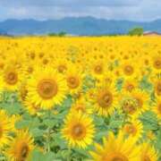 めぐみ きんきゅう！ 石川金沢ちゃんこ