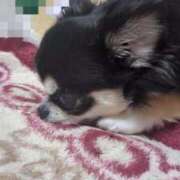 惺美(さとみ) 前髪焦げたよ。 人妻城 横浜本店