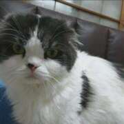 惺美(さとみ) お久しぶりです！ 人妻城 横浜本店