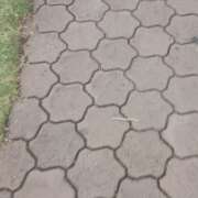 ヒメ日記 2025/06/17 18:52 投稿 いおり 京都人妻デリヘル倶楽部