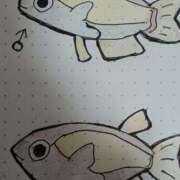 ヒメ日記 2025/07/12 00:22 投稿 いおり 京都人妻デリヘル倶楽部