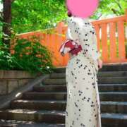 ヒメ日記 2025/07/31 03:20 投稿 いおり 京都人妻デリヘル倶楽部