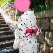 ヒメ日記 2025/08/07 02:07 投稿 いおり 京都人妻デリヘル倶楽部