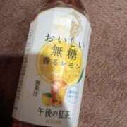 ヒメ日記 2025/08/29 05:00 投稿 いおり 京都人妻デリヘル倶楽部