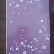 ヒメ日記 2026/03/17 07:00 投稿 いおり 京都人妻デリヘル倶楽部