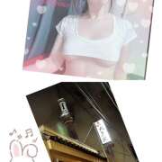 ヒメ日記 2025/05/01 19:14 投稿 君島ななせ ワイフコレクション