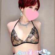 ヒメ日記 2025/07/09 12:23 投稿 りん 沼津人妻花壇