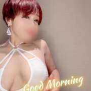 ヒメ日記 2026/01/23 07:38 投稿 りん 沼津人妻花壇