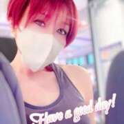 ヒメ日記 2026/02/17 07:37 投稿 りん 沼津人妻花壇