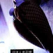 ヒメ日記 2026/02/18 13:02 投稿 りん 沼津人妻花壇