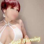 ヒメ日記 2026/03/02 06:07 投稿 りん 沼津人妻花壇