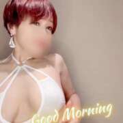 ヒメ日記 2026/03/09 07:32 投稿 りん 沼津人妻花壇