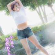 ヒメ日記 2026/04/11 22:14 投稿 りん 沼津人妻花壇