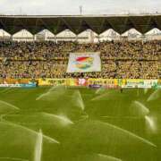 ヒメ日記 2025/11/29 15:46 投稿 りあな 沼津人妻花壇