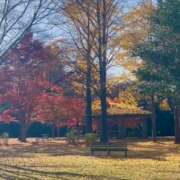 ヒメ日記 2025/12/02 14:45 投稿 りあな 沼津人妻花壇