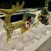 ヒメ日記 2024/12/09 12:09 投稿 せいな 沼津人妻花壇