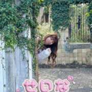 ヒメ日記 2025/03/23 11:44 投稿 せいな 沼津人妻花壇