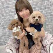 ヒメ日記 2025/04/24 08:00 投稿 せいな 沼津人妻花壇