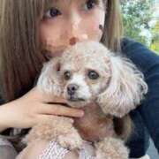 ヒメ日記 2025/05/02 10:32 投稿 せいな 沼津人妻花壇