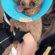 ヒメ日記 2025/05/09 01:37 投稿 せいな 沼津人妻花壇