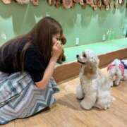 ヒメ日記 2025/05/27 18:03 投稿 せいな 沼津人妻花壇