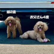 ヒメ日記 2025/07/03 13:04 投稿 せいな 沼津人妻花壇