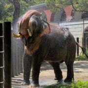 ヒメ日記 2025/07/26 08:36 投稿 せいな 沼津人妻花壇