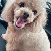 ヒメ日記 2025/08/21 08:52 投稿 せいな 沼津人妻花壇