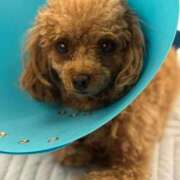 ヒメ日記 2025/08/29 19:04 投稿 せいな 沼津人妻花壇