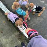 ヒメ日記 2025/10/23 14:09 投稿 せいな 沼津人妻花壇