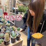 ヒメ日記 2025/11/01 10:14 投稿 せいな 沼津人妻花壇