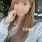 ヒメ日記 2026/02/01 09:44 投稿 せいな 沼津人妻花壇