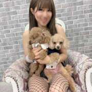 ヒメ日記 2026/02/19 08:58 投稿 せいな 沼津人妻花壇