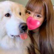 ヒメ日記 2026/02/24 10:19 投稿 せいな 沼津人妻花壇