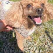 ヒメ日記 2026/03/12 12:06 投稿 せいな 沼津人妻花壇