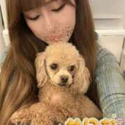 ヒメ日記 2026/03/14 08:14 投稿 せいな 沼津人妻花壇