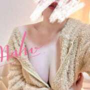 ヒメ日記 2025/01/22 17:55 投稿 まほ プールサイド