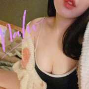 ヒメ日記 2025/04/02 11:53 投稿 まほ プールサイド